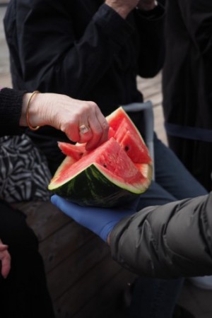 Upptäck Rosengård genom Smaklökarna