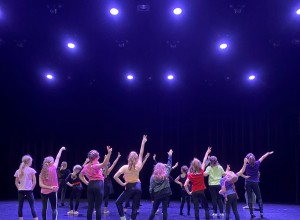 medborgarskolans-dansuppvisning-d