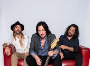 ronnie-astrom-trio-d