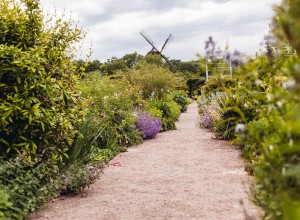 guidad-tur-pa-slottstradgarden-e